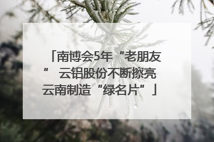 南博会5年“老朋友” 云铝股份不断擦亮云南制造“绿名片”