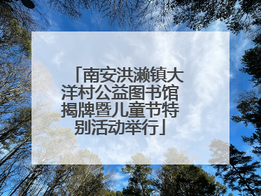 南安洪濑镇大洋村公益图书馆揭牌暨儿童节特别活动举行