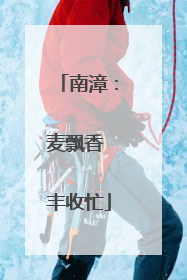 南漳：麦飘香 丰收忙