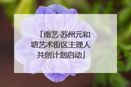 南艺·苏州元和塘艺术街区主理人共创计划启动