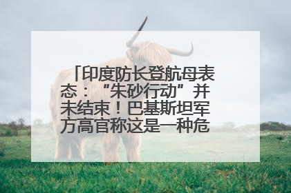 印度防长登航母表态：“朱砂行动”并未结束！巴基斯坦军方高官称这是一种危险的状况……