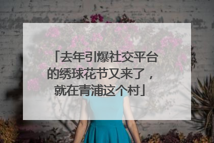 去年引爆社交平台的绣球花节又来了，就在青浦这个村