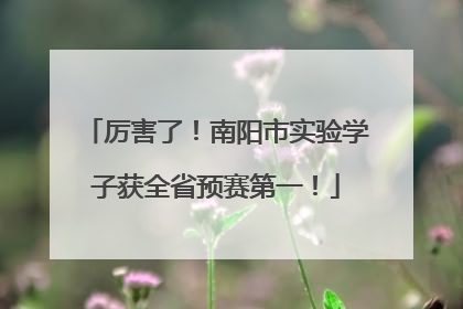 厉害了！南阳市实验学子获全省预赛第一！