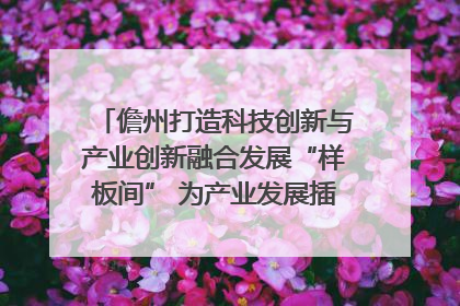 儋州打造科技创新与产业创新融合发展“样板间” 为产业发展插上科技“翅膀”