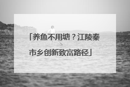 养鱼不用塘？江陵秦市乡创新致富路径