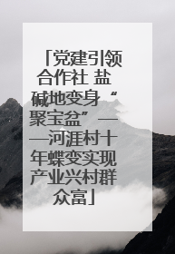 党建引领合作社 盐碱地变身“聚宝盆”——河涯村十年蝶变实现产业兴村群众富