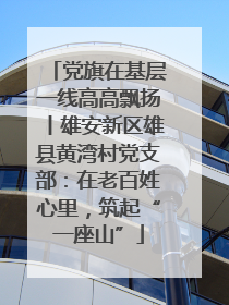 党旗在基层一线高高飘扬丨雄安新区雄县黄湾村党支部：在老百姓心里，筑起“一座山”