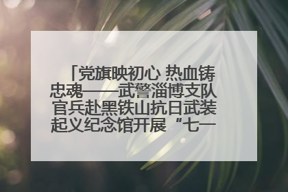 党旗映初心 热血铸忠魂——武警淄博支队官兵赴黑铁山抗日武装起义纪念馆开展“七一”主题党日活动
