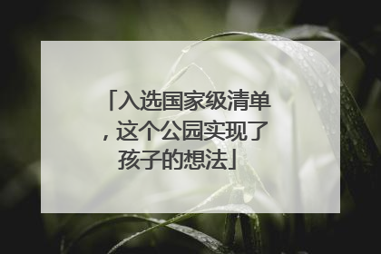 入选国家级清单，这个公园实现了孩子的想法