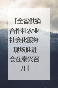 全省供销合作社农业社会化服务 现场推进会在泰兴召开