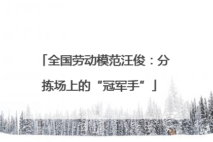 全国劳动模范汪俊：分拣场上的“冠军手”