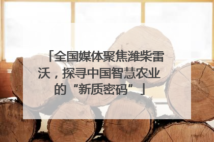全国媒体聚焦潍柴雷沃，探寻中国智慧农业的“新质密码”