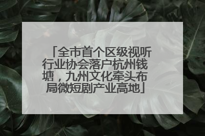 全市首个区级视听行业协会落户杭州钱塘，九州文化牵头布局微短剧产业高地