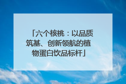 六个核桃：以品质筑基、创新领航的植物蛋白饮品标杆