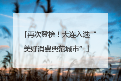 再次登榜！大连入选“美好消费典范城市”