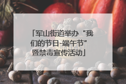军山街道举办“我们的节日-端午节”暨禁毒宣传活动