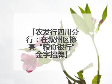 农发行四川分行：在叙州区擦亮“粮食银行”金字招牌