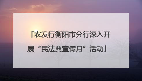 农发行衡阳市分行深入开展“民法典宣传月”活动