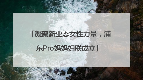 凝聚新业态女性力量，浦东Pro妈妈妇联成立