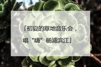 初夏的草地音乐会，唱“嗨”杨浦滨江