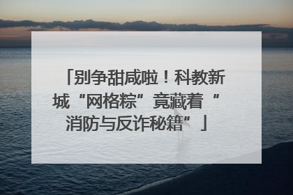 别争甜咸啦！科教新城“网格粽”竟藏着“消防与反诈秘籍”
