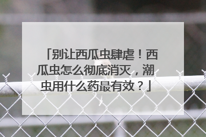 别让西瓜虫肆虐！西瓜虫怎么彻底消灭，潮虫用什么药最有效？