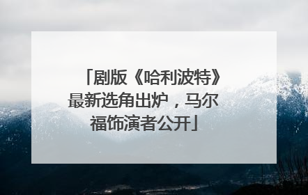 剧版《哈利波特》最新选角出炉，马尔福饰演者公开