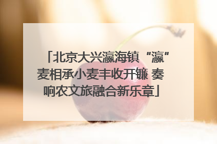 北京大兴瀛海镇“瀛”麦相承小麦丰收开镰 奏响农文旅融合新乐章