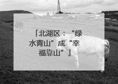 北湖区：“绿水青山”成“幸福靠山”