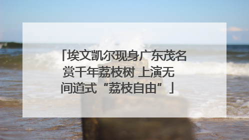 埃文凯尔现身广东茂名 赏千年荔枝树 上演无间道式“荔枝自由”