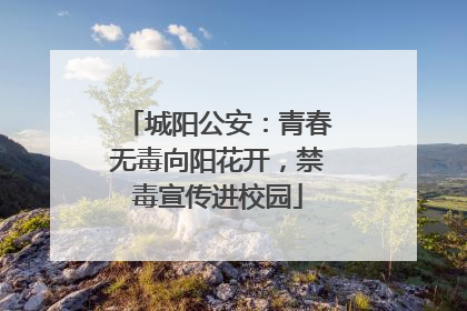 城阳公安：青春无毒向阳花开，禁毒宣传进校园