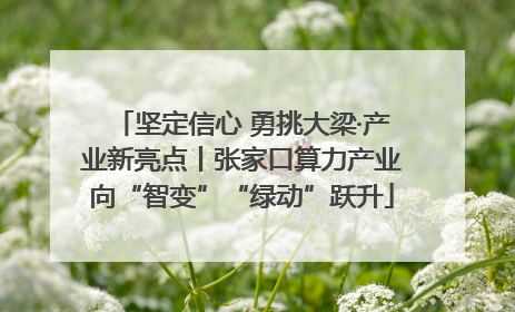 坚定信心 勇挑大梁·产业新亮点丨张家口算力产业向“智变”“绿动”跃升