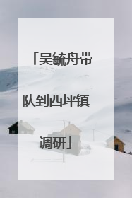吴毓舟带队到西坪镇调研