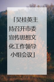 吴桂英主持召开市委宣传思想文化工作领导小组会议
