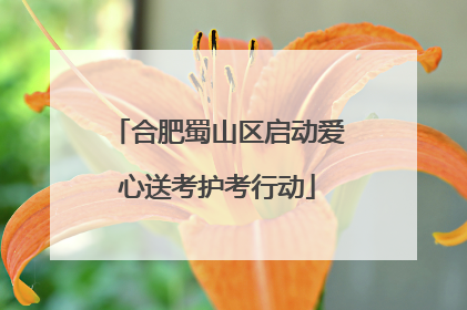 合肥蜀山区启动爱心送考护考行动