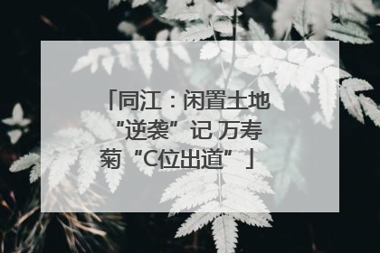 同江：闲置土地“逆袭”记 万寿菊“C位出道”