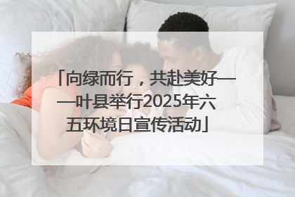 向绿而行，共赴美好——叶县举行2025年六五环境日宣传活动