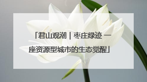 君山观潮｜枣庄绿迹 一座资源型城市的生态觉醒