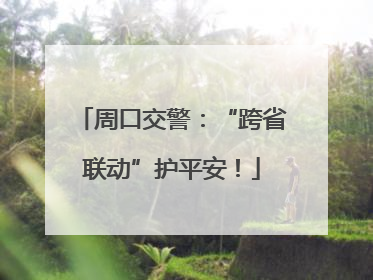 周口交警：“跨省联动”护平安！