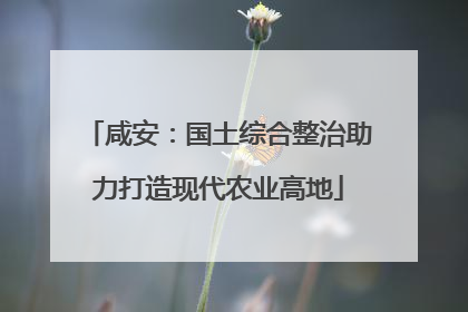 咸安：国土综合整治助力打造现代农业高地