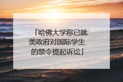 哈佛大学称已就美政府对国际学生的禁令提起诉讼