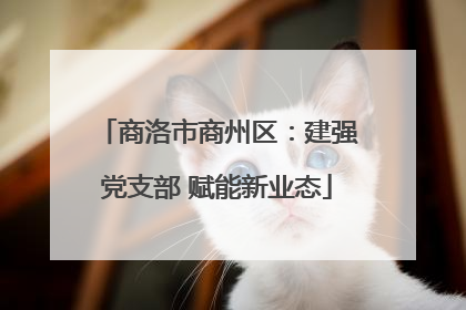 商洛市商州区：建强党支部 赋能新业态