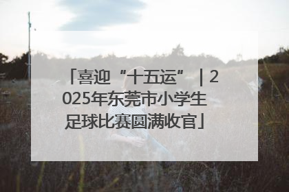 喜迎“十五运”｜2025年东莞市小学生足球比赛圆满收官
