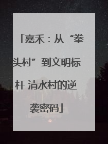 嘉禾：从“拳头村”到文明标杆 清水村的逆袭密码