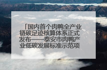 国内首个肉鸭全产业链碳足迹核算体系正式发布——泰安市肉鸭产业低碳发展标准示范项目顺利通过验收