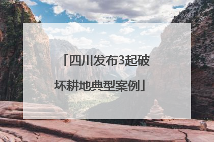 四川发布3起破坏耕地典型案例