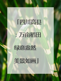 四川高县：万亩稻田绿意盎然 美景如画