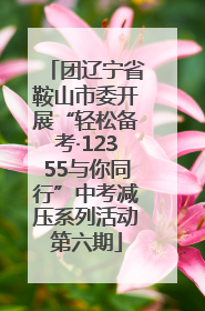 团辽宁省鞍山市委开展“轻松备考·12355与你同行”中考减压系列活动第六期