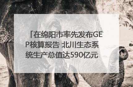 在绵阳市率先发布GEP核算报告 北川生态系统生产总值达590亿元｜新闻发布最前线