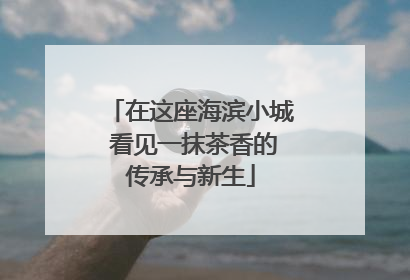 在这座海滨小城 看见一抹茶香的传承与新生